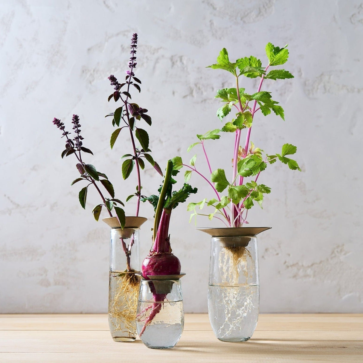 Floral Propagate Assorted - Set of 3 - Sumiye Co