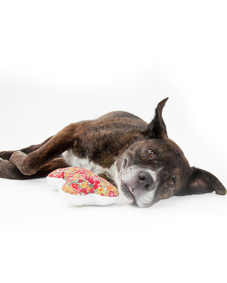 Pet Toy Lavender Zenbone - Sumiye Co