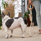 Carbon Neutral Eco Friendly Dog Leash with Small Storage Bag-4