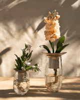 Floral Propagate Assorted - Set of 3 - Sumiye Co