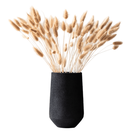 Black vase with dried plants on a white background