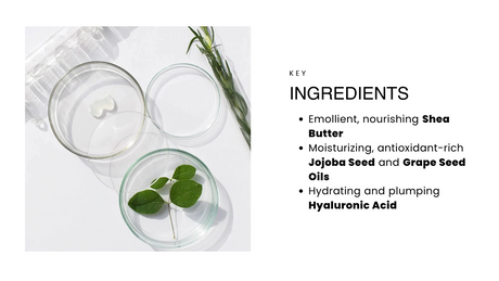 Smoothing Lip Balm - Sumiye Co