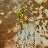 Pebbled Bottles Assorted Set of 2