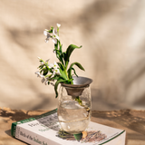 Floral Propagate Assorted - Set of 3 - Sumiye Co