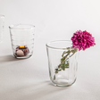 Etched Short Glasses Set of 6 - Sumiye Co