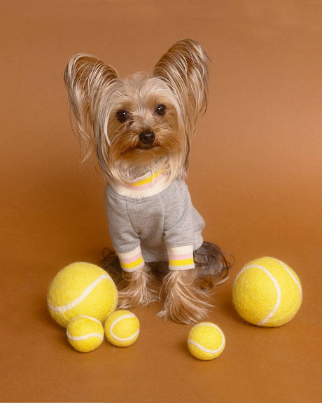 Pet Tennis Tee - Sumiye Co