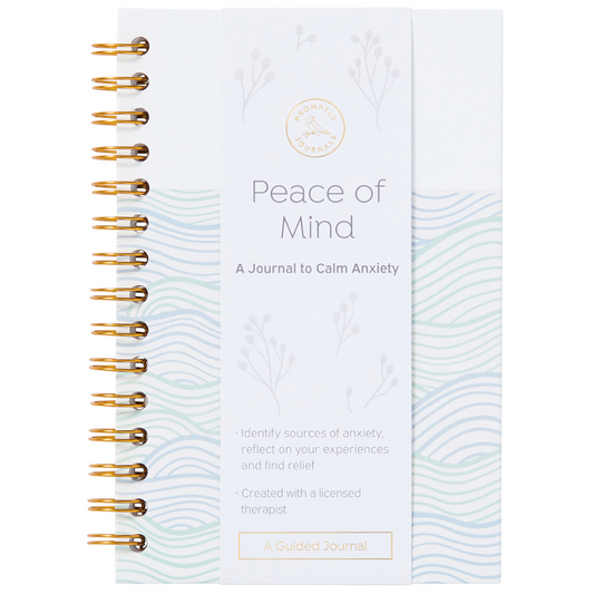 Peace of Mind: A Journal to Calm Anxiety (Aquamarine) by Promptly Journals