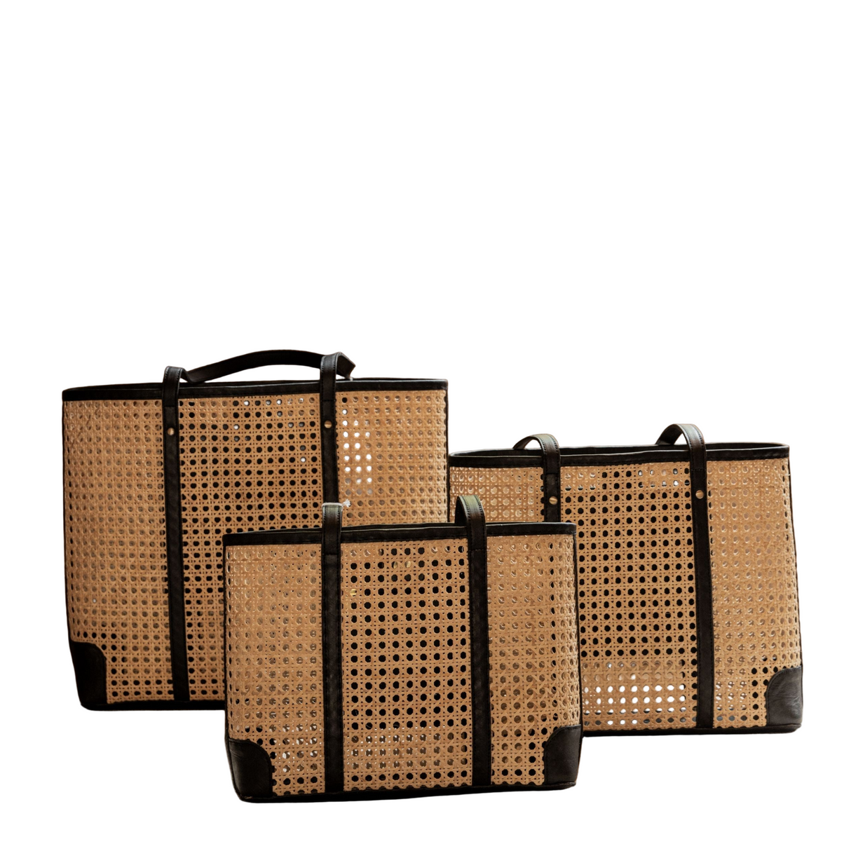 Dian Leather and Rattan Tote Bag - Sumiye Co