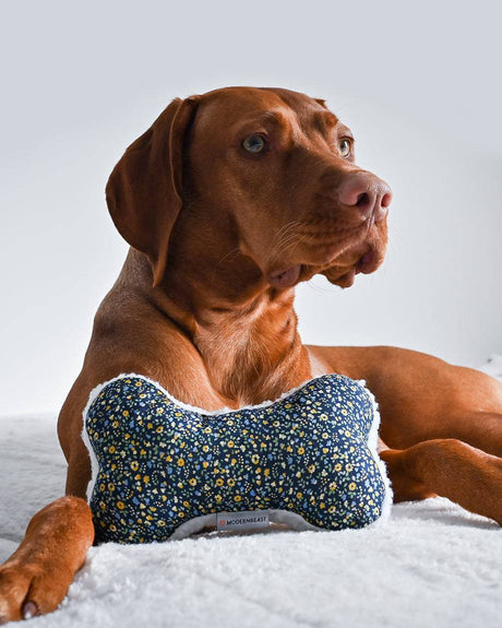 Pet Toy Lavender Zenbone - Sumiye Co