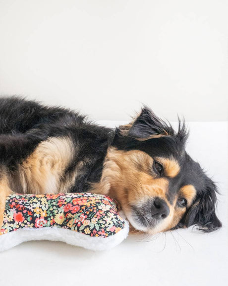 Pet Toy Lavender Zenbone - Sumiye Co