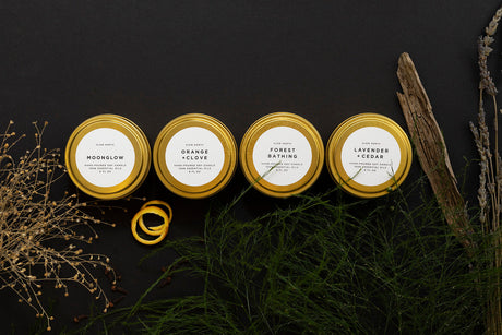 Four tins with labels on a dark background with greenery