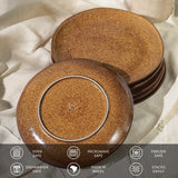 Dinner Plate Set of 6