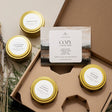 Set of candles in gold tins with labels on a brown box, featuring the 'Cozy Collection' by Slow North.