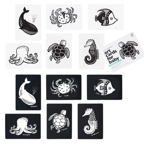 Art Cards for Baby - Ocean Collection - Sumiye Co