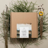 Box of 'Cozy Collection' candles with natural elements on a neutral background