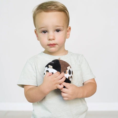 Acorn Clutch and Taggy Ball Bundle Toys Wee Gallery   