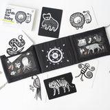 Baby Tummy Time Gallery Gift Set - Sumiye Co