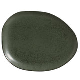 Oval Dinner Plate Set of 6