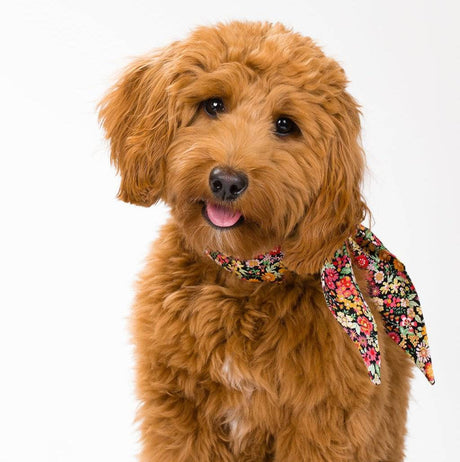 Pet Classic Necktie - Sumiye Co