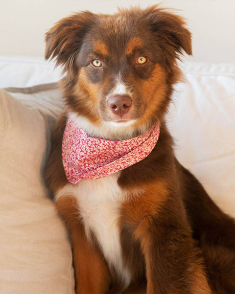 Pet Floral Bandana - Sumiye Co
