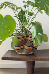 Handwoven Wave Basket - Earth Colors - Sumiye Co