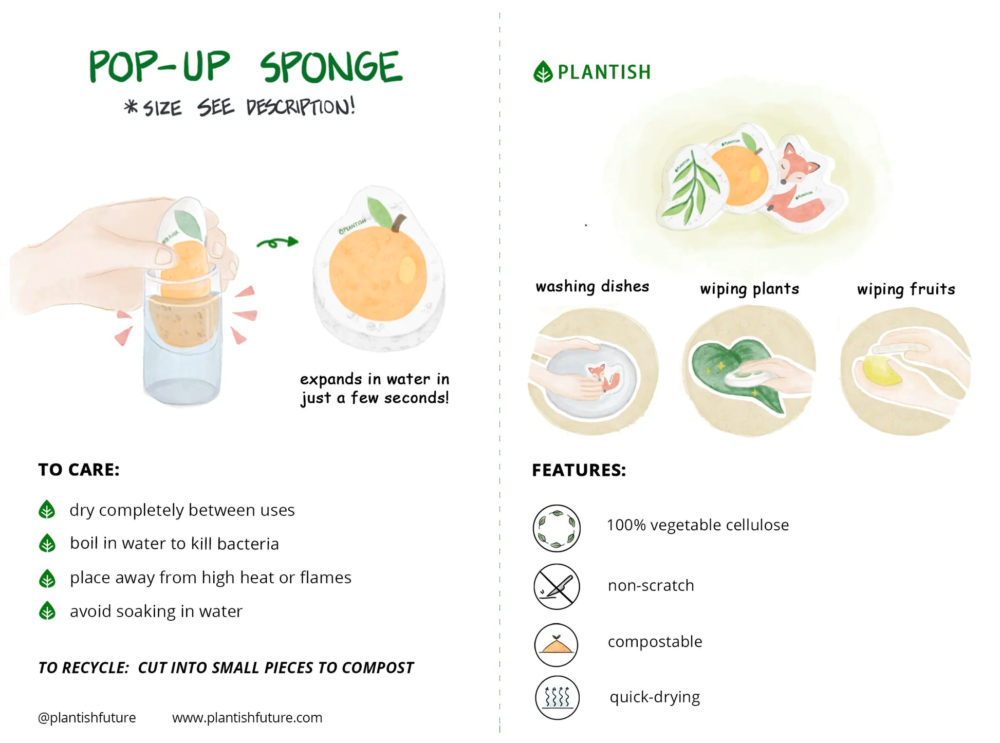 Peach - Pop up Sponge-3