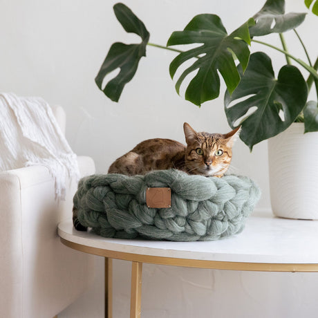 Chunky Knit Wool Cat Bed - Sumiye Co