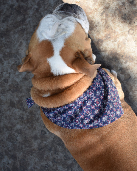 Pet Classic Bandana - Sumiye Co