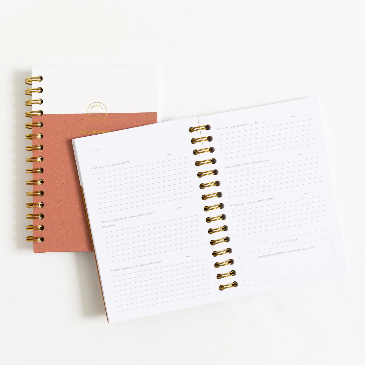 Gratitude Journals - Dusty Rose by Promptly Journals