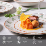 Dinner Plate Set of 6