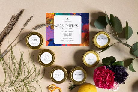 Collection of small candles with a colorful packaging label on a neutral background with plants and flowers. 2oz Mini Tins 6 Count