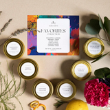 Favorites Collection - 6 Pack | 2oz Mini Scented Candles