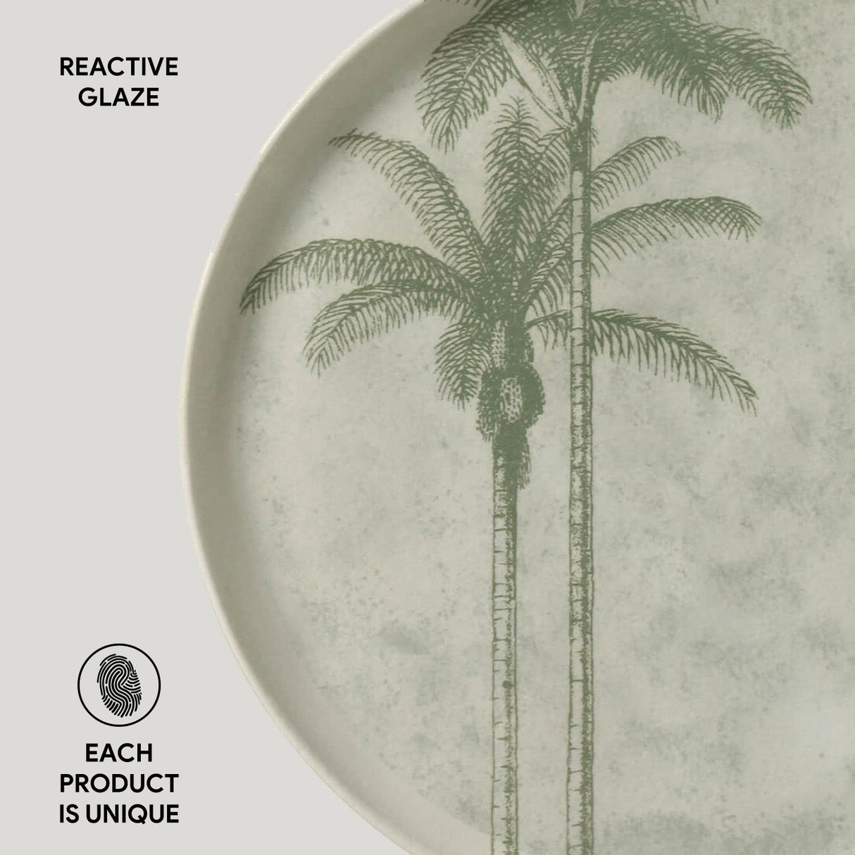 Dinner Plate Set of 6