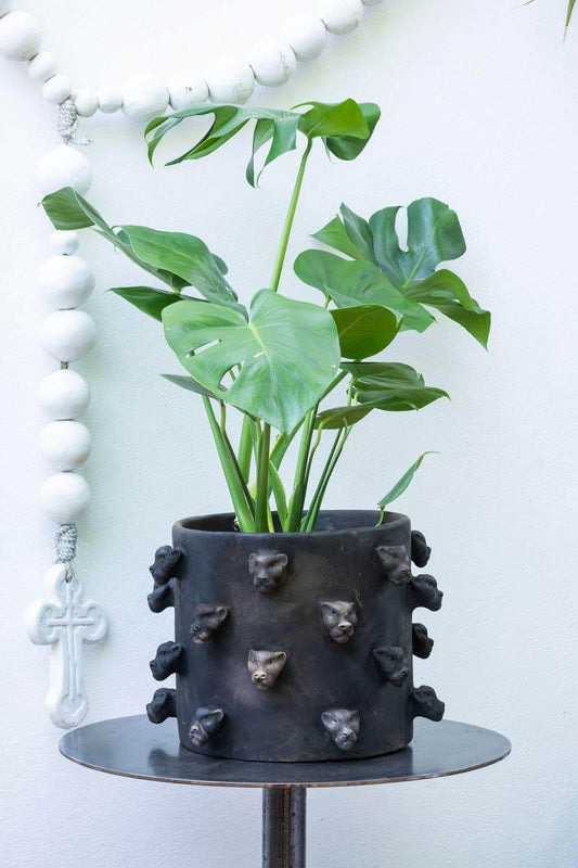 The Blackout Jaguar Spiked Planter by Wool+Clay