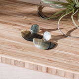 Pair of earrings on a wooden surface with a plant in the background