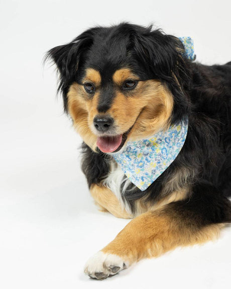 Pet Floral Bandana - Sumiye Co