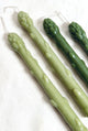 Asparagus Candles – Handcrafted Botanical Taper Candles – Set of 2
