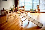 Reversible Ladder Climbing / Sliding Ramp-1