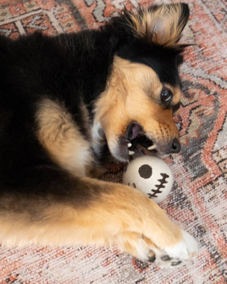 Pet  Skeleton Beast Ball - Sumiye Co