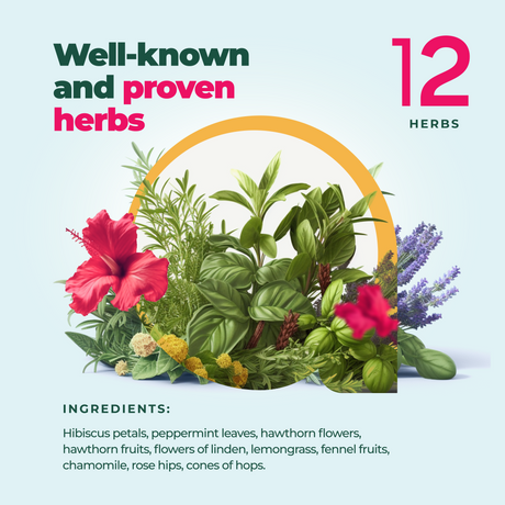 Herbal Sleep Tea with Sleep Guide - 60 - Sumiye Co