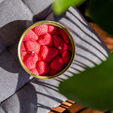 Candlecan - Strawberry - Sumiye Co
