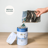 Tease Tea blended green tea Golden Slumbers Golden Slumbers Tea | Sleep Support - Tease Wellness Blends
