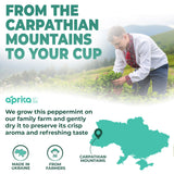 100% Pure Peppermint Herbal Tea, 60 Bags
