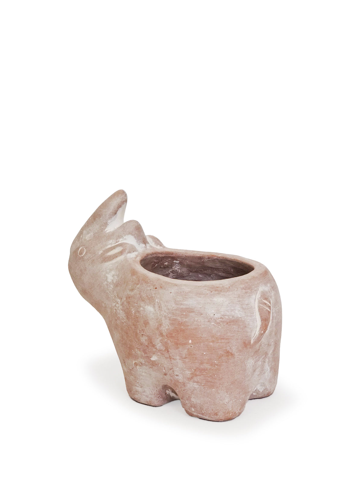 Terracotta Pot - Rhino-3