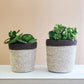 Agora Plant Basket - Brown KORISSA
