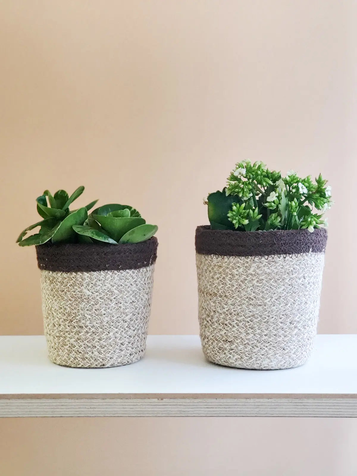 Agora Plant Basket - Brown KORISSA