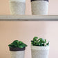 Agora Plant Basket - Brown KORISSA
