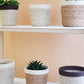 Agora Plant Basket - Brown KORISSA