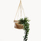 Jhuri Single Hanging Basket KORISSA