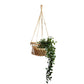 Jhuri Single Hanging Basket KORISSA